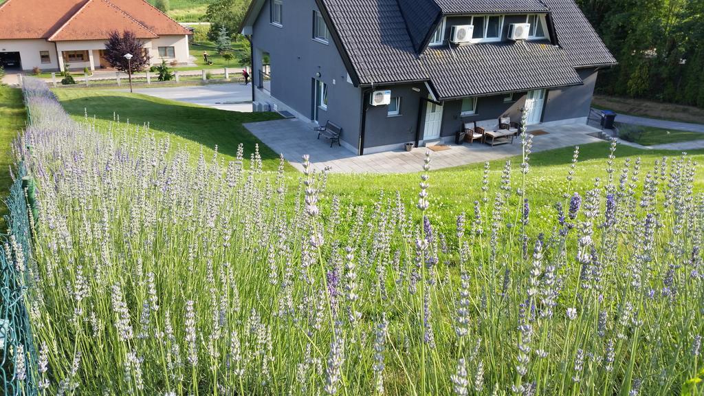 Apartmani Sanja Крапинске Топлице Екстериор снимка